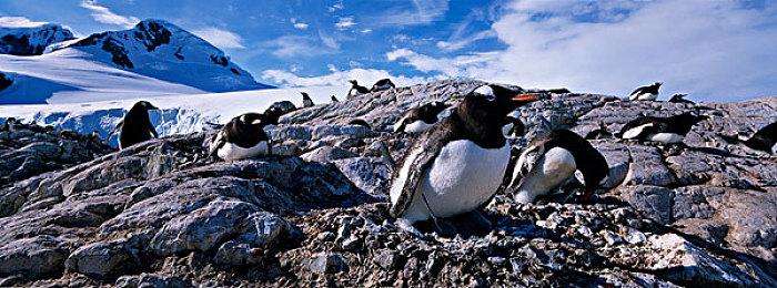 高能电玩节：像素风RPG《林中小女巫》将于近日推出